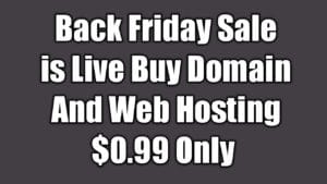 Black Friday Sale Buy Cheap Domain And Hosting 2020