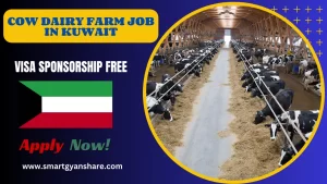Cow dairy farm job in Kuwait