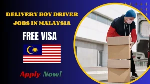 Delivery Boy Driver Jobs in Malaysia