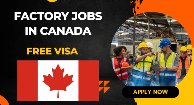 Factory Jobs in Canada for Non-Degree Holders