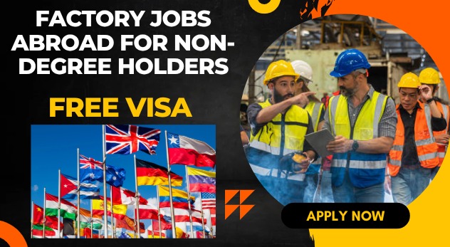 Factory Jobs Abroad for Non-Degree Holders