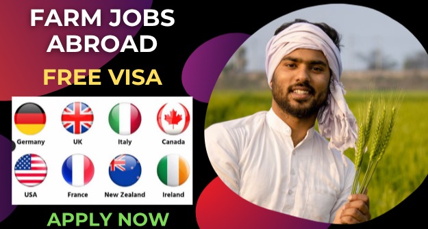 Farm Jobs Abroad with Free Visa and Accommodation