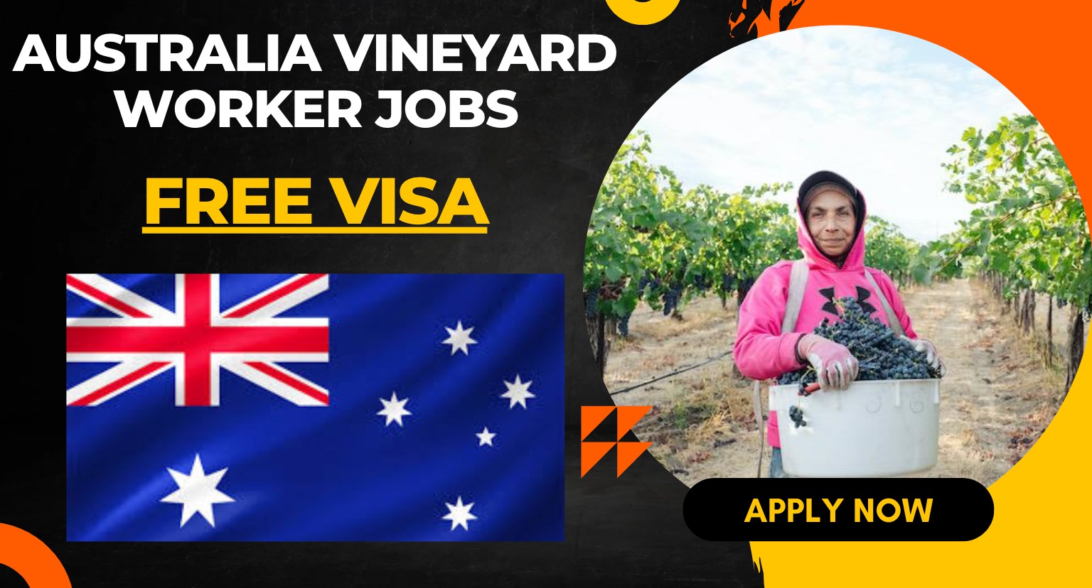 Australia Vineyard Worker Jobs with Free Visa 2026