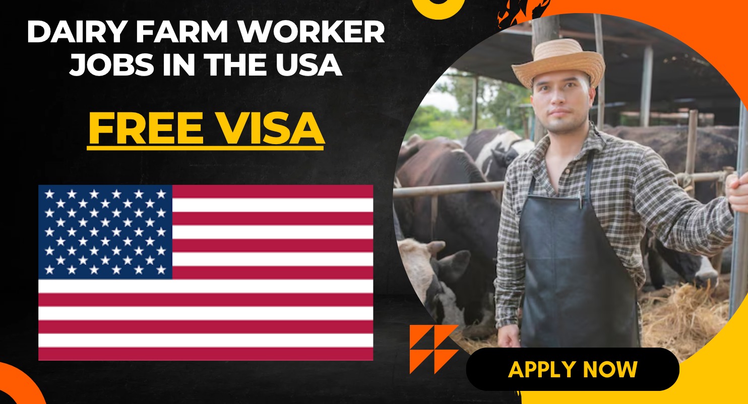 Dairy Farm Worker Jobs in the USA for Immigrants