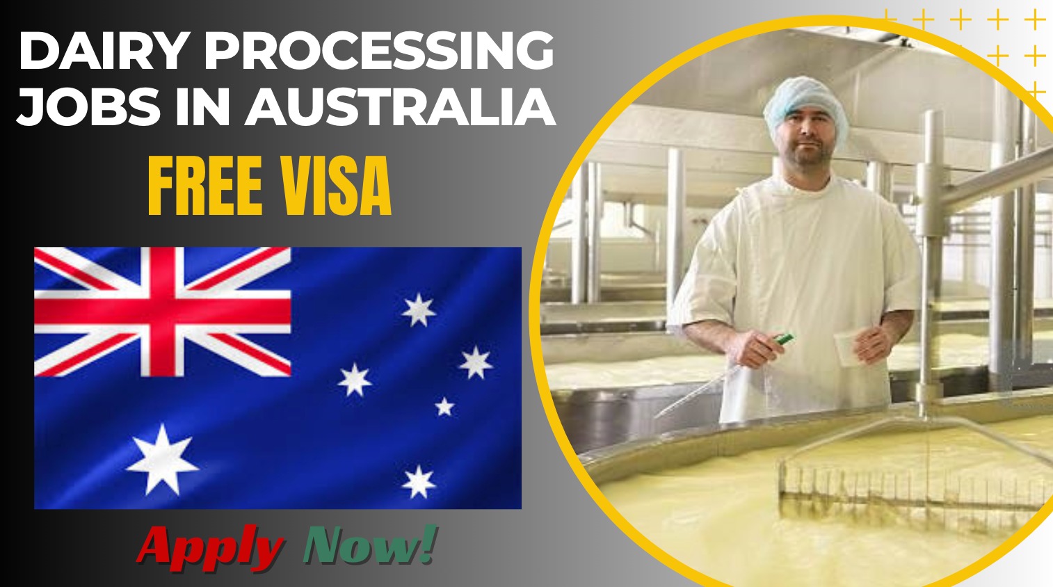 Dairy Processing Jobs in Australia with Sponsorship