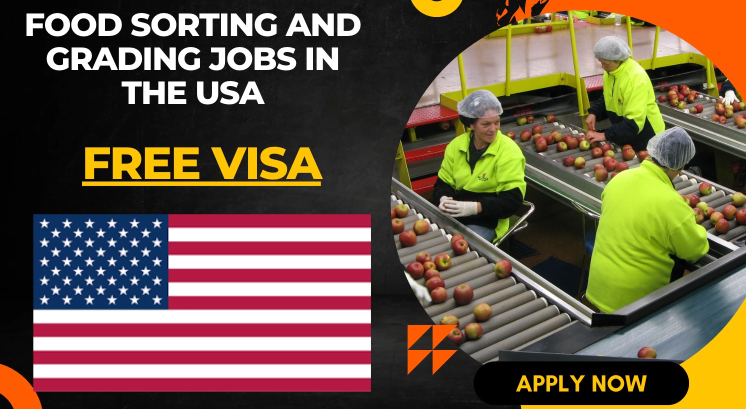 Food Sorting and Grading Jobs in the USA for Overseas Applicants