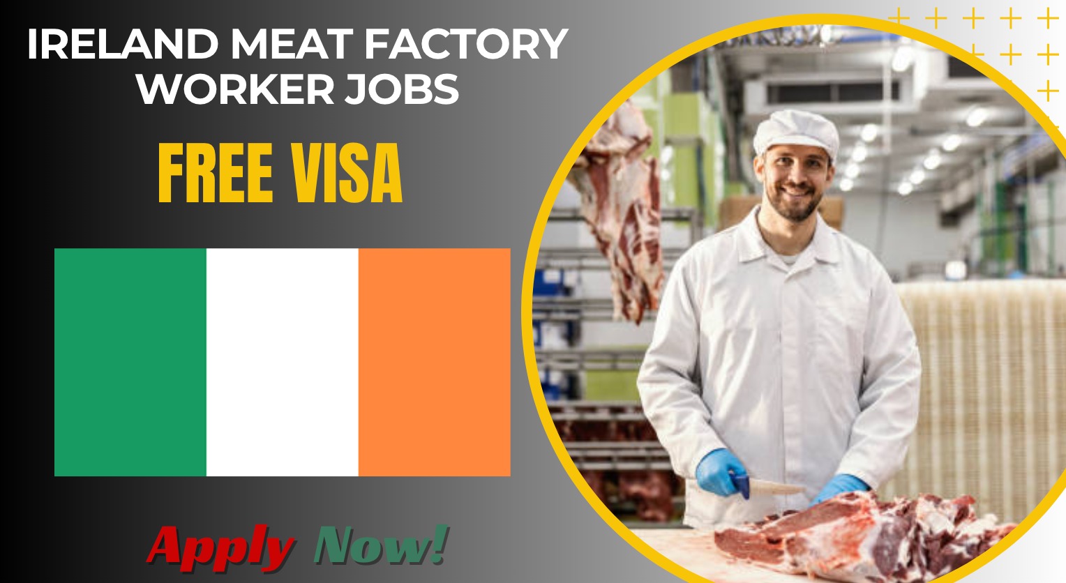 Ireland Meat Factory Worker Jobs 2026