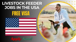 Livestock Feeder Jobs in the USA (No Experience Required) Livestock Feeder Jobs in the USA (No Experience Required)