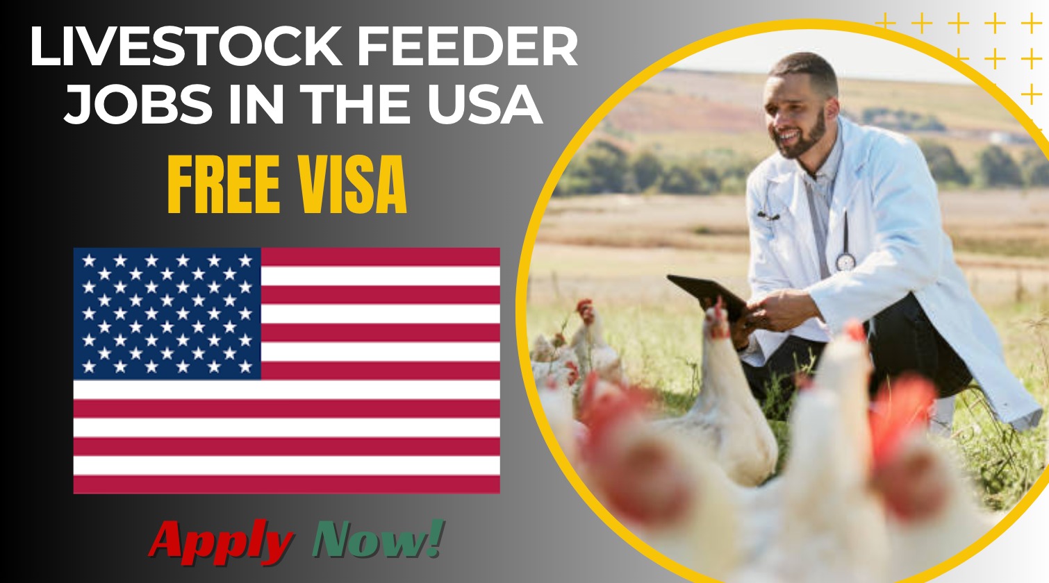 Livestock Feeder Jobs in the USA (No Experience Required)