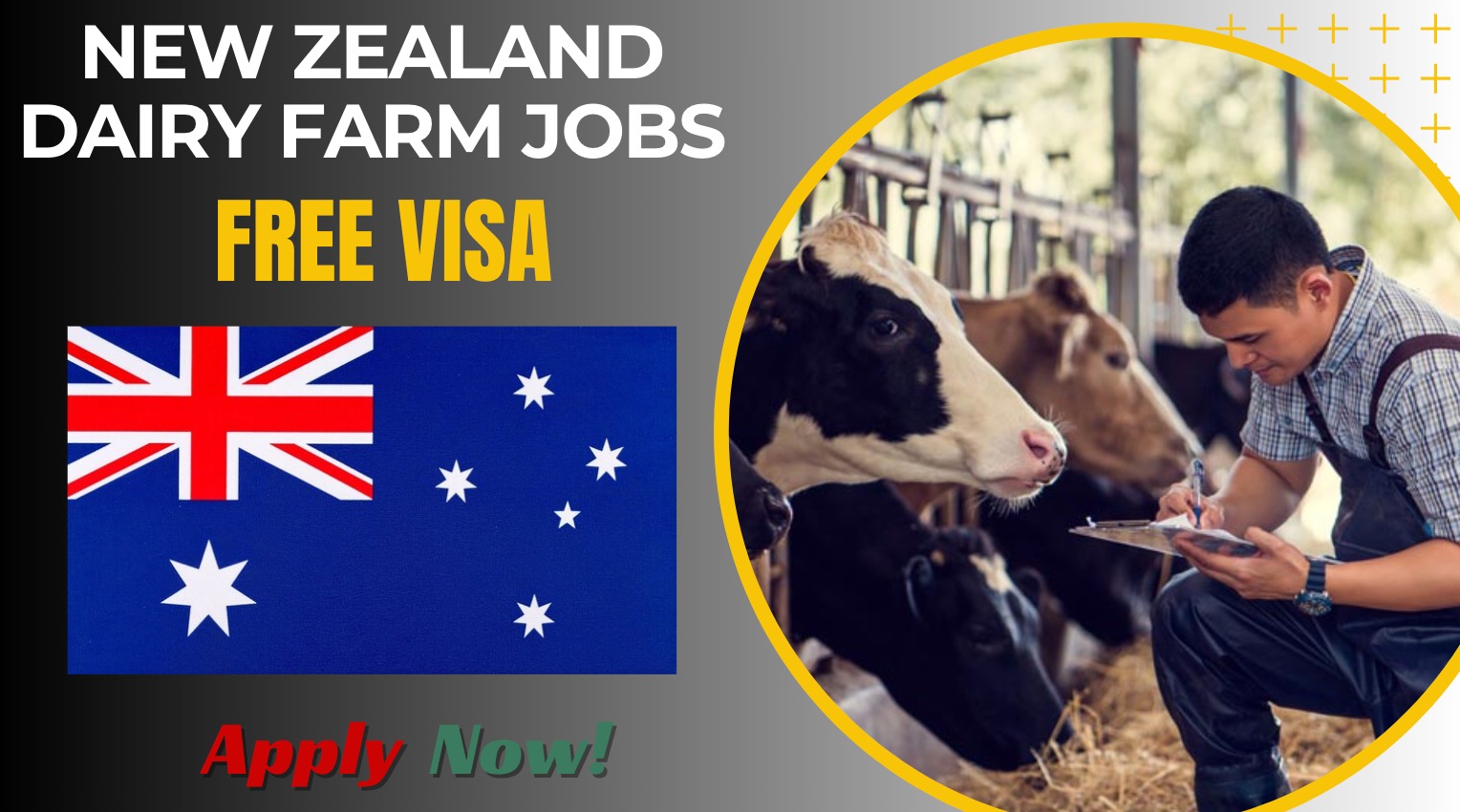 New Zealand Dairy Farm Jobs with Work Visa 2026