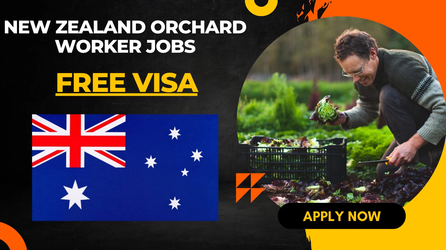 New Zealand Orchard Worker Jobs for Foreigners