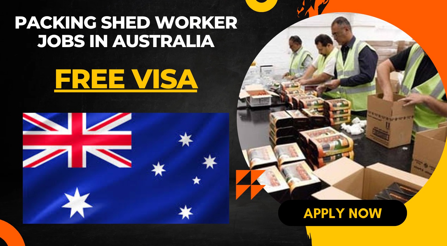 Packing Shed Worker Jobs in Australia for Foreigners