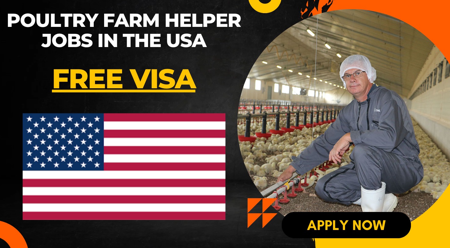 Poultry Farm Helper Jobs in the USA with Work Visa