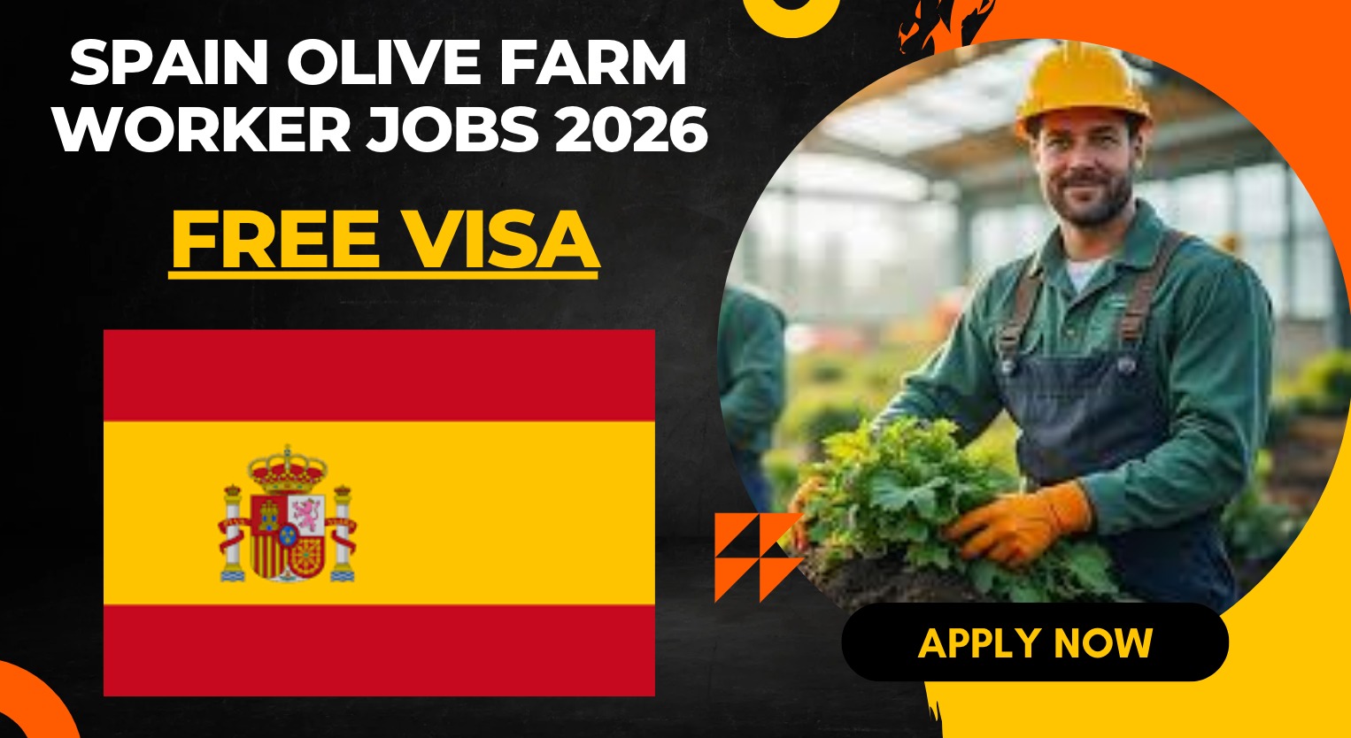 Spain Olive Farm Worker Jobs 2026