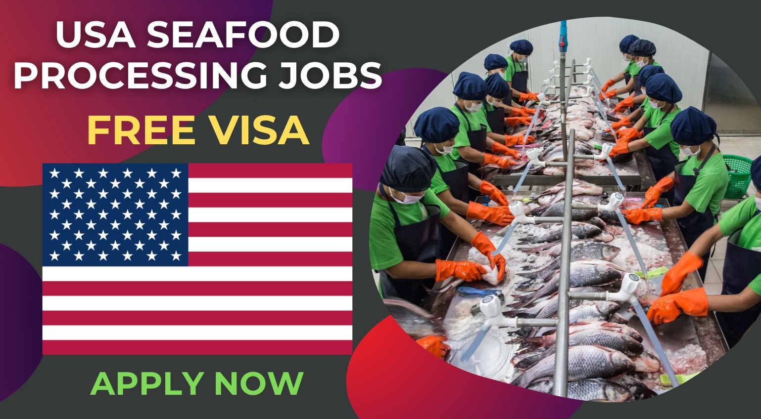 USA Seafood Processing Jobs for International Applicants