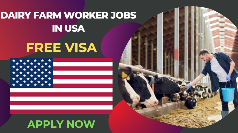 Dairy Farm Worker Jobs in USA – Visa Sponsorship Available