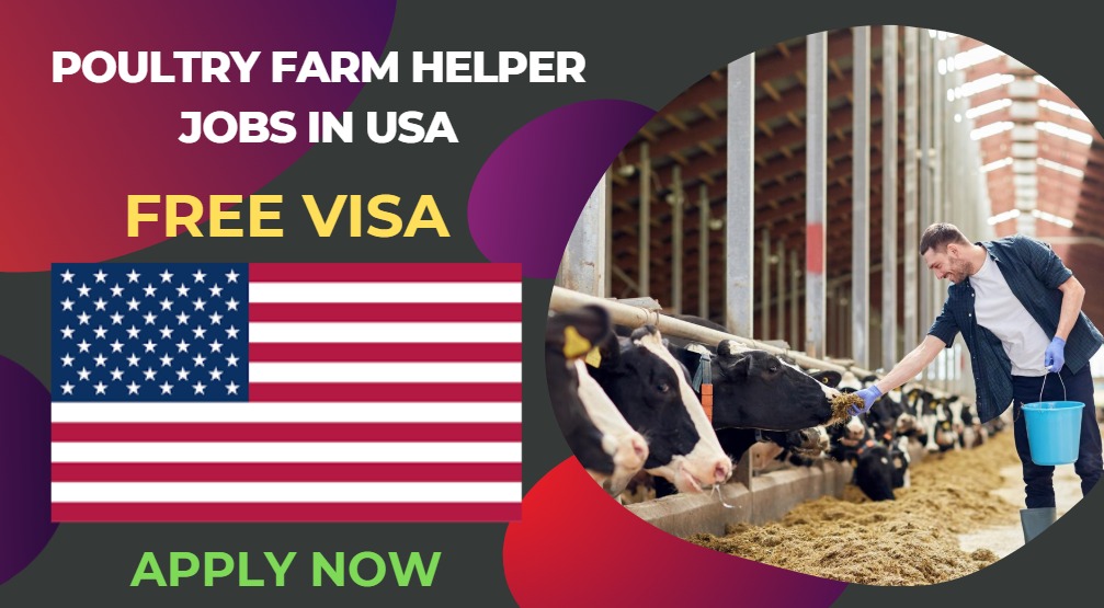Poultry Farm Helper Jobs in USA with Work Visa