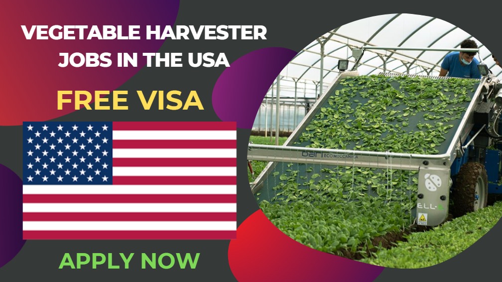 Vegetable Harvester Jobs in USA 
