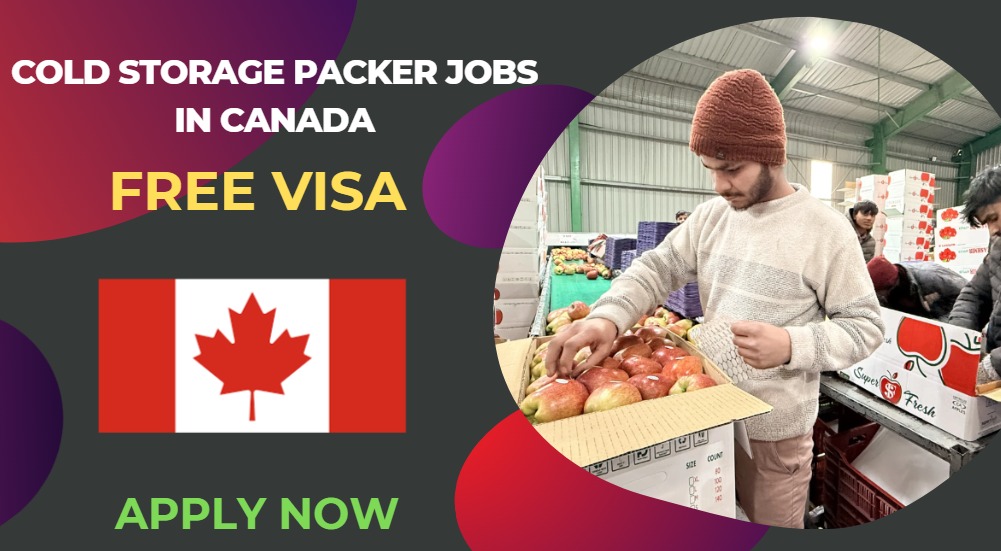Cold Storage Packer Jobs in Canada  – Free Visa Sponsorship