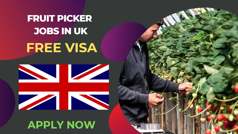 Fruit Picker Jobs in the UK – Free Visa Sponsorship