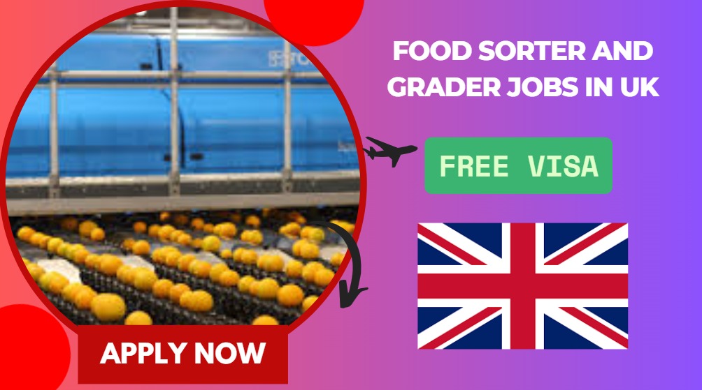 Food Sorter and Grader Jobs in UK – No Degree