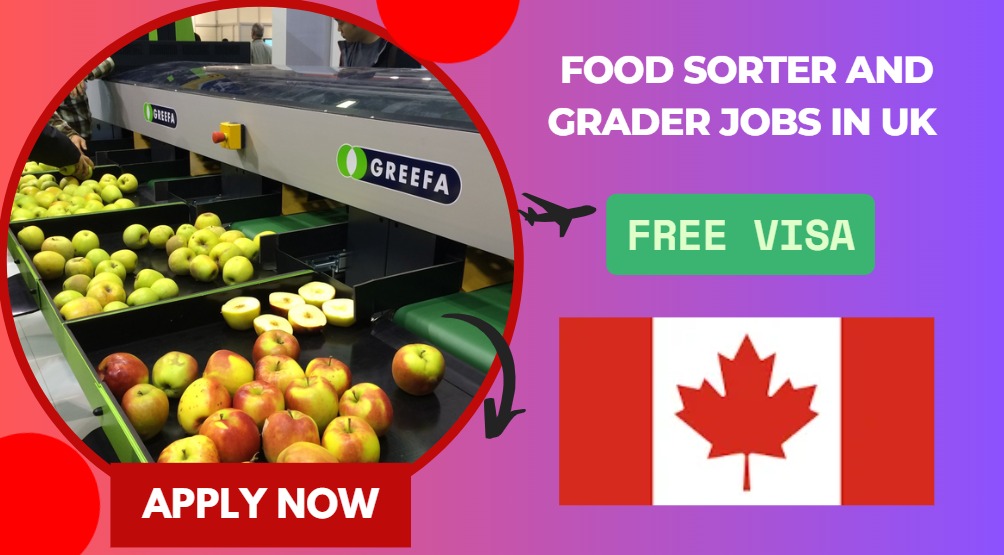 Food Sorter and Grader Jobs in UK – No Degree