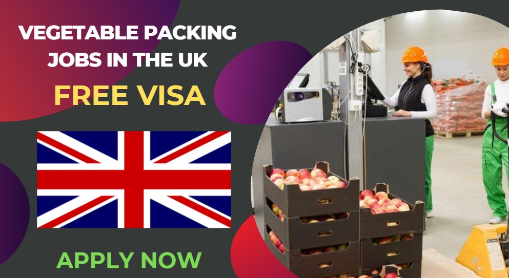 Vegetable Packing Jobs in UK – Seasonal Work Visa