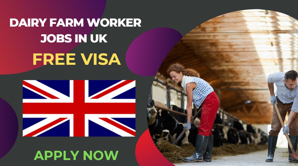 Dairy Farm Worker Jobs in UK – Visa Sponsorship Available