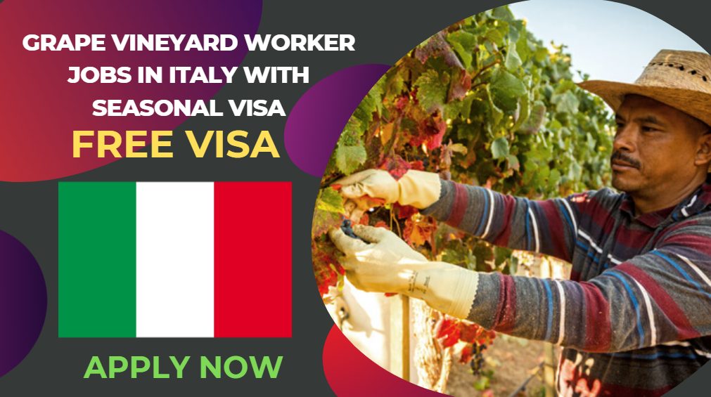 Grape Vineyard Worker Jobs in Italy with Seasonal Visa – Apply Now