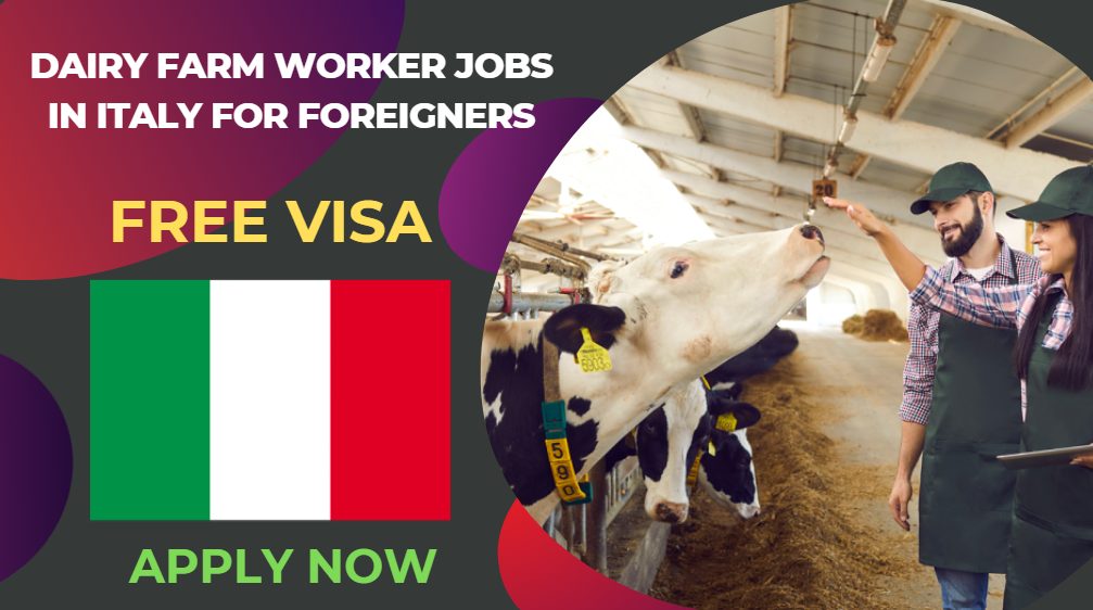 Dairy Farm Worker Jobs in Italy for Foreigners