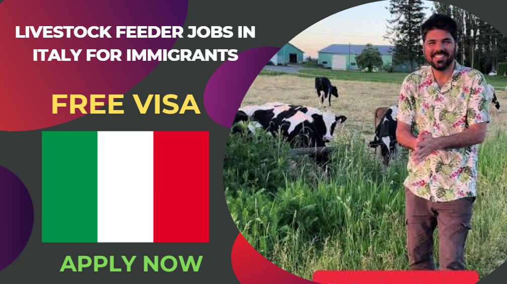 Livestock Feeder Jobs in Italy for Immigrants