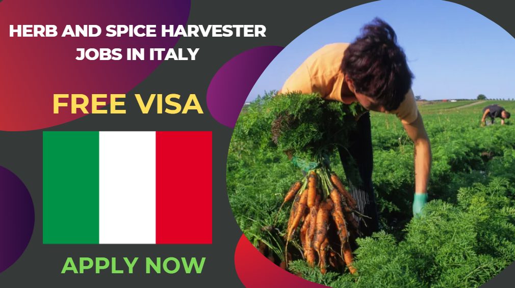 Herb and Spice Harvester Jobs in Italy