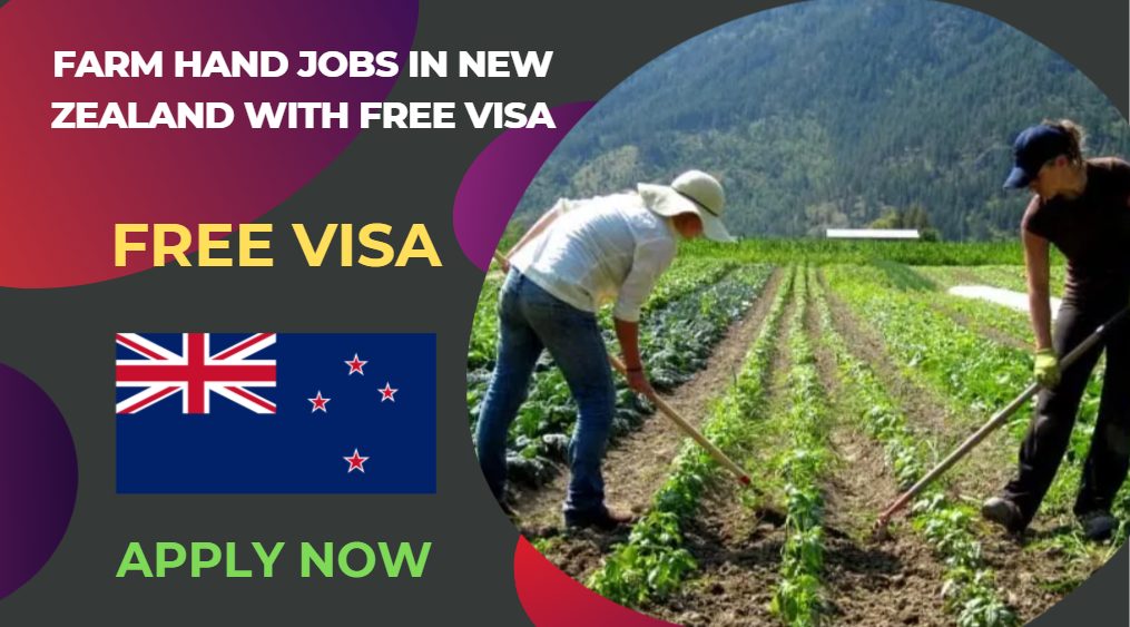 Farm Hand Jobs in New Zealand with Free Visa