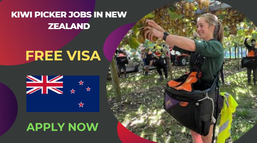 Kiwi Picker Jobs in New Zealand