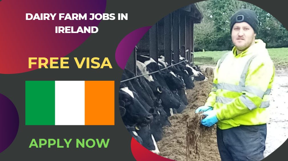 Dairy Farm Jobs in Ireland