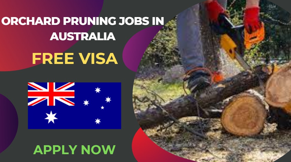 Orchard Pruning Jobs in Australia – Free Visa Sponsorship