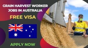 Grain Harvest Worker Jobs in Australia – Apply Now