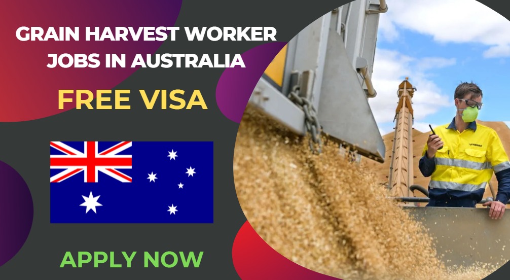 Grain Harvest Worker Jobs in Australia – Apply Now