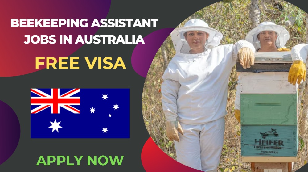 Beekeeping Assistant Jobs in Australia – No Degree | Apply Now Beekeeping Assistant Jobs in Australia – No Degree | Apply Now