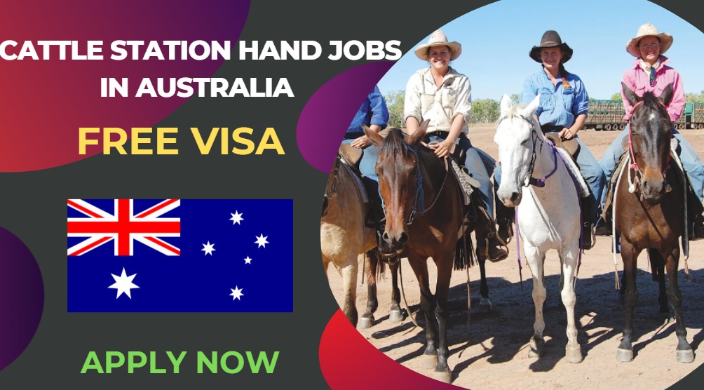 Cattle Station Hand Jobs in Australia  – Apply Now