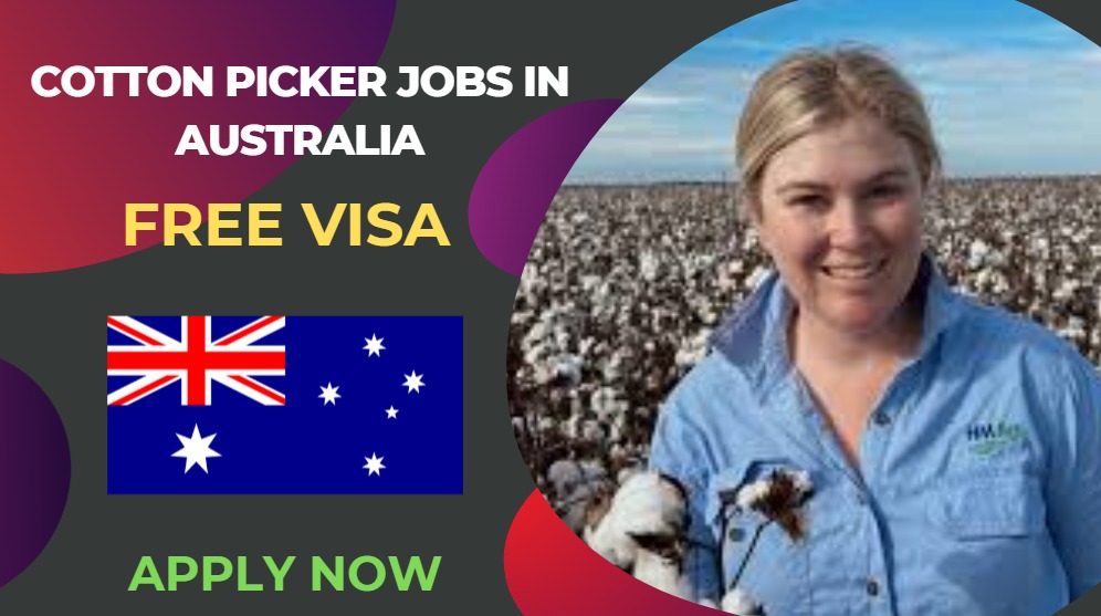 Cotton Picker Jobs in Australia – Visa Sponsorship Available